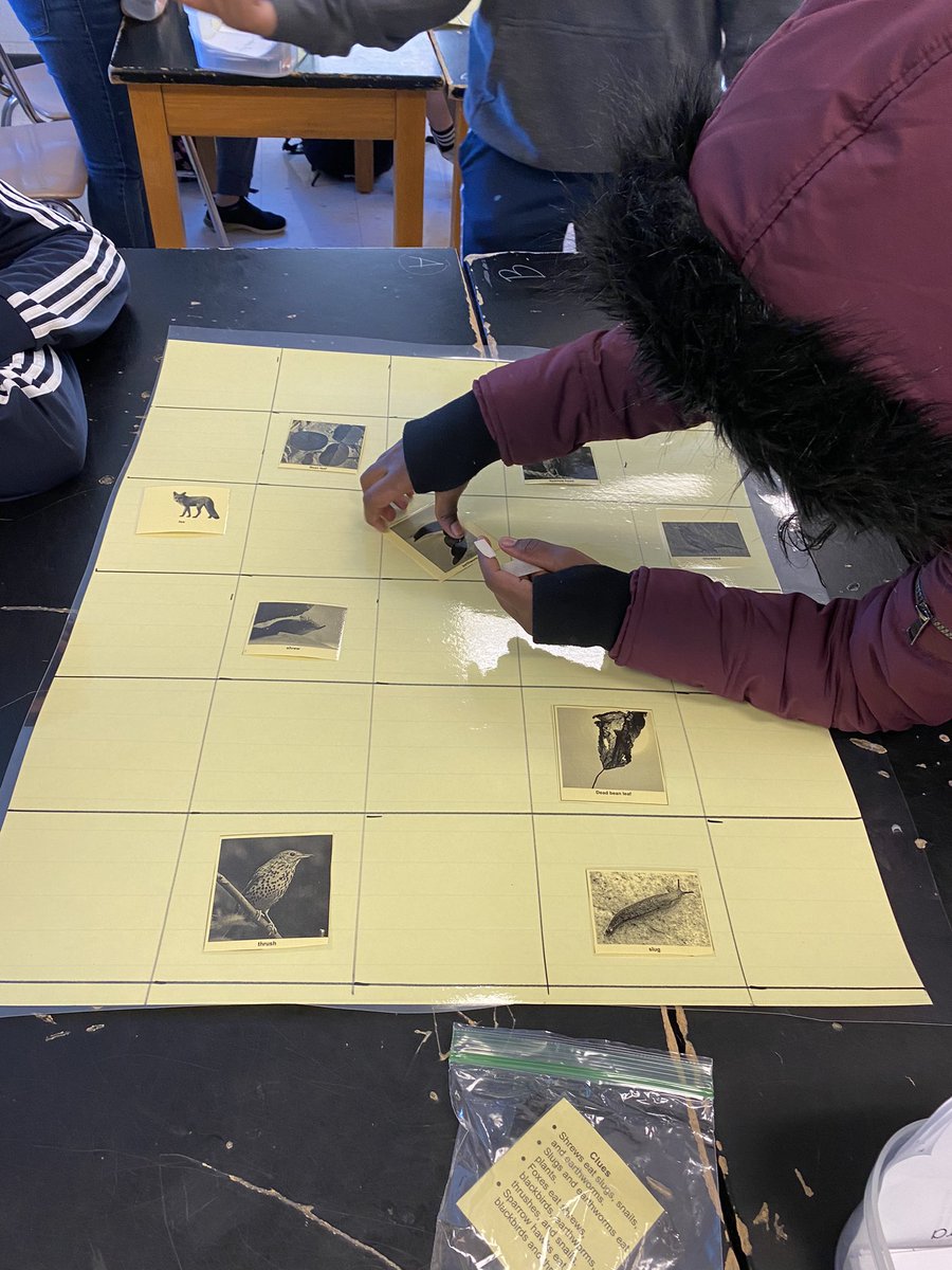 PeggyKoenig's tweet photo. Do robots belong in a food web? Yes indeed! Today was a fun mashup of environmental science and computer science. 6th graders reviewed energy flow with the help of Code & Go Mice. @SchifferB @cgee_theAP @Fschrader1 @FMS_BCPS #FMSpride #CSforAll https://t.co/KWlLHX6cKi