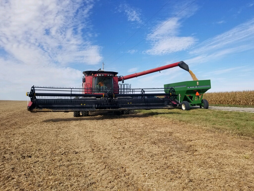 AgventureDM's tweet photo. Gorgeous views of our 3.2 Enlist soybean coming out of the field! Oh, the weather is nice, too. #agventuredifference https://t.co/EticiP0vyk