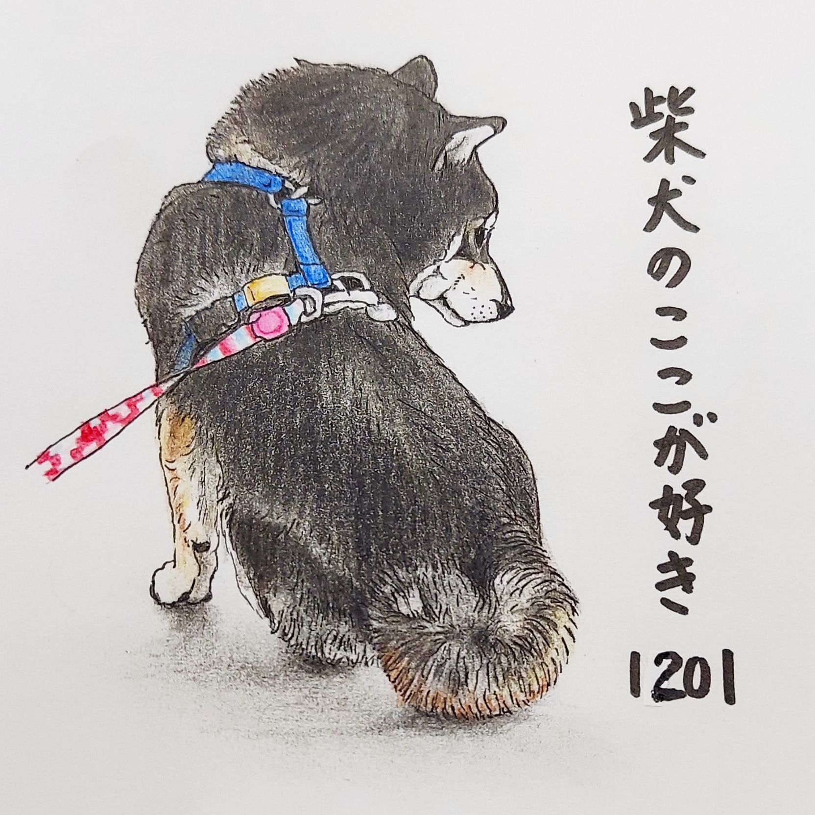ここ柴 Kokoshibamariko Twitter