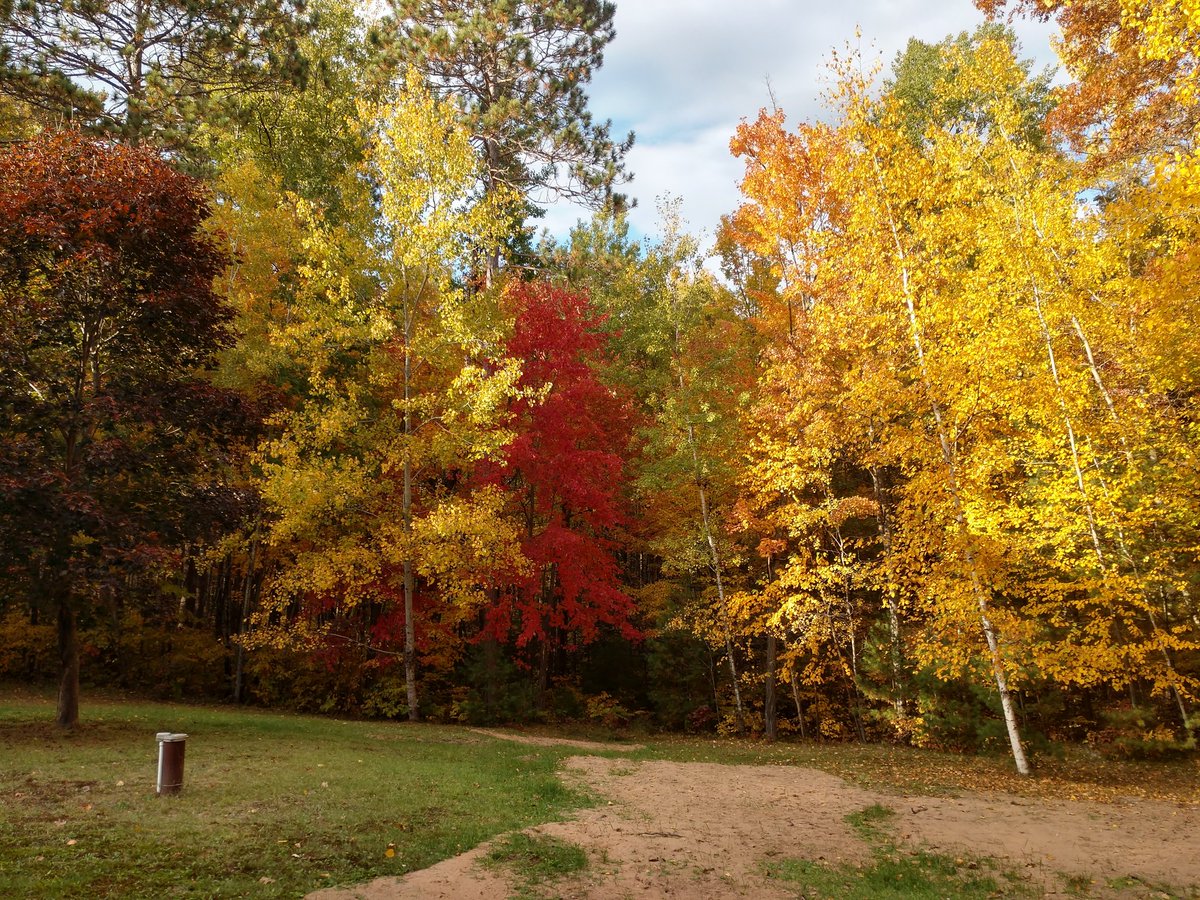 George Schroeder tweet media