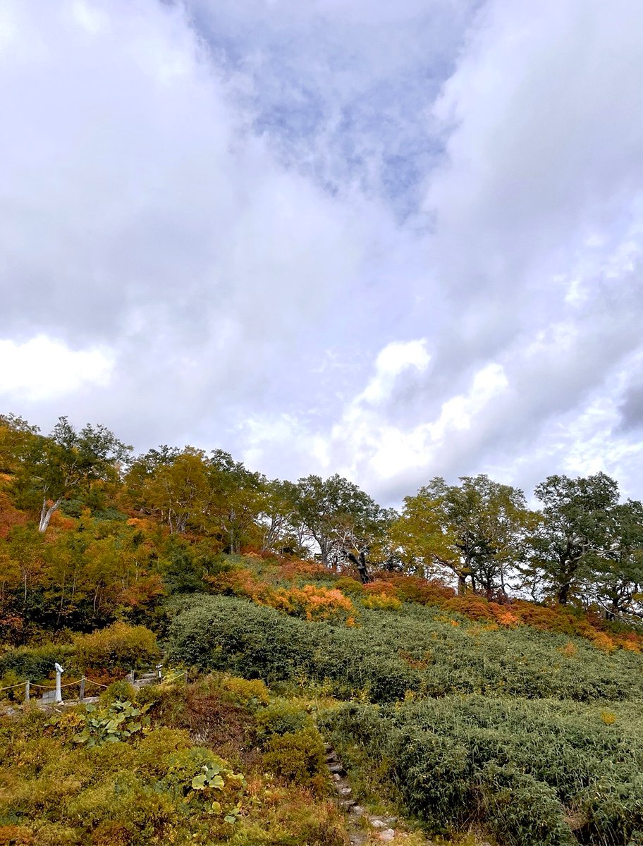 おはようございます 山の紅葉🍁は見頃かなぁ 今日も良い一日をお過ごしくださいね✨