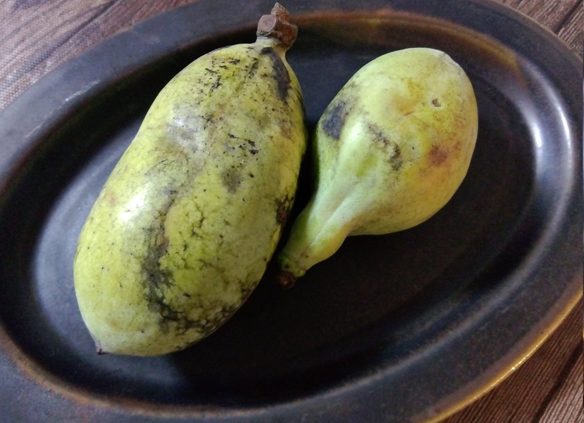 みんなの ポポー 口コミ 評判 食べたいランチ 夜ごはんがきっと見つかる ナウティスイーツ