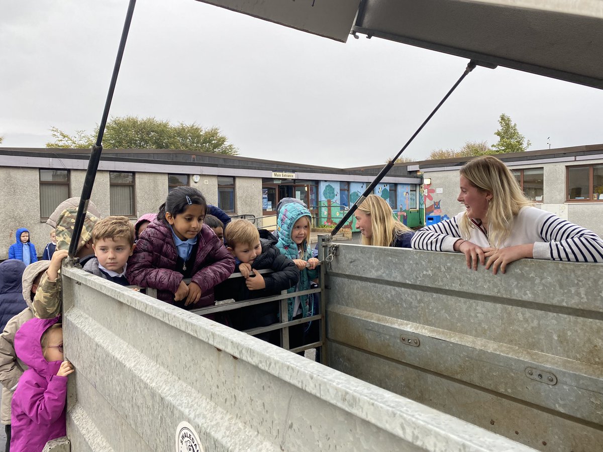 LauriestonP1A's tweet photo. We had some wooly friends visiting us in @LauriestonP2 yesterday! Thank you to @SSSYoungFarmers for a fantastic visit and for teaching us all about different types of farms! We had so much fun! 🐑 🐶 https://t.co/J22vvxzdrh
