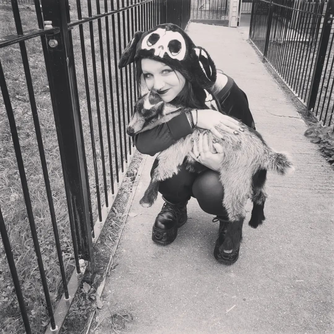 VampireFreaks's tweet photo. This photo is just the greatest of all time. ππ€ͺ
Seriously, we love this shot from @taurusbunnybaby hanging out with a goat in our Bone Bunny Hat! π₯°π
#halloween #goat #goatpic #cute #vampirefreaks #customerphoto #emo #alt #goth #gothic #gothgoat #spookyfashion #goatlife https://t.co/kK1amX939f
