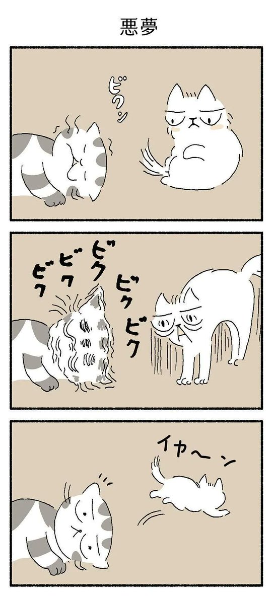 「みてるのは悪夢?」熟睡中に猫の顔がピクピク動くお話【連載】渋ネコししまるさん#171|ねこのきもちWEB MAGAZINE https://t.co/06VdfNH862 