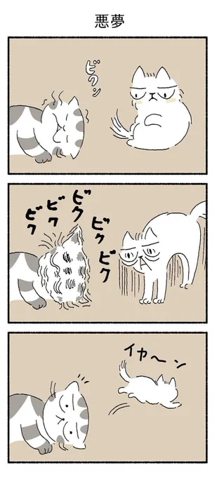 「みてるのは悪夢?」熟睡中に猫の顔がピクピク動くお話【連載】渋ネコししまるさん#171|ねこのきもちWEB MAGAZINE https://t.co/06VdfNH862 
