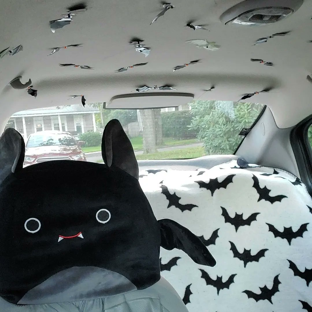 BatsyWatsySuits's tweet photo. It's freaking bats!! I love Halloween 🎃 🦇🦇 plus now I got a Batmobile
🦇🦇🦇🦇🦇🦇🦇
This gives me way too much serotonin!!!
#bat #bats #Halloweenbat #Halloweenbats #Halloween #spookyseason #furryhalloween #spooky #batmobile #batforever #itsfreakingbats #ilovehalloween https://t.co/q3Gi4nOJ3d