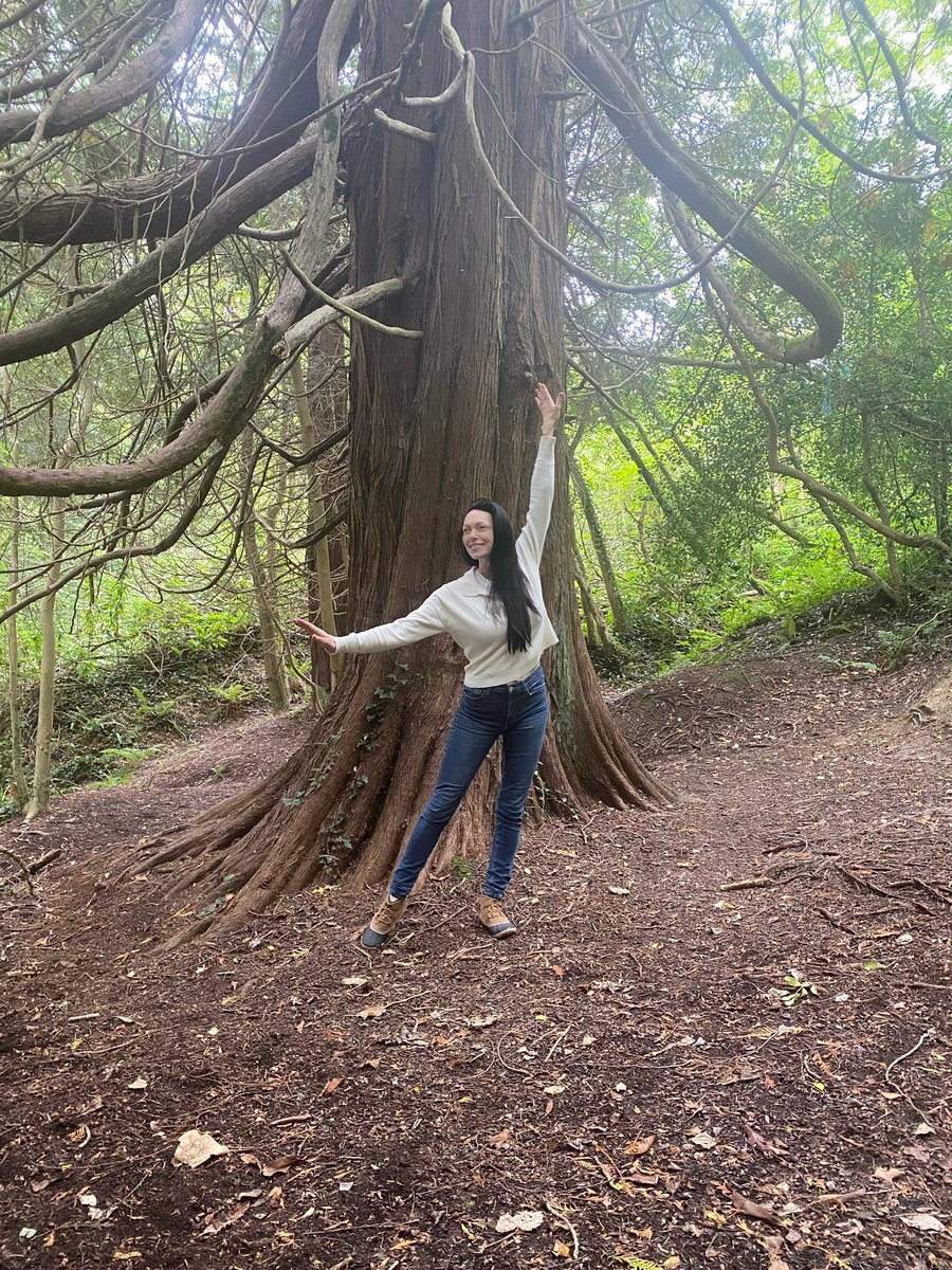 LauraPrepon's tweet photo. Talking to trees in Ireland💚🤍🧡 https://t.co/hYgoMyxZ2g