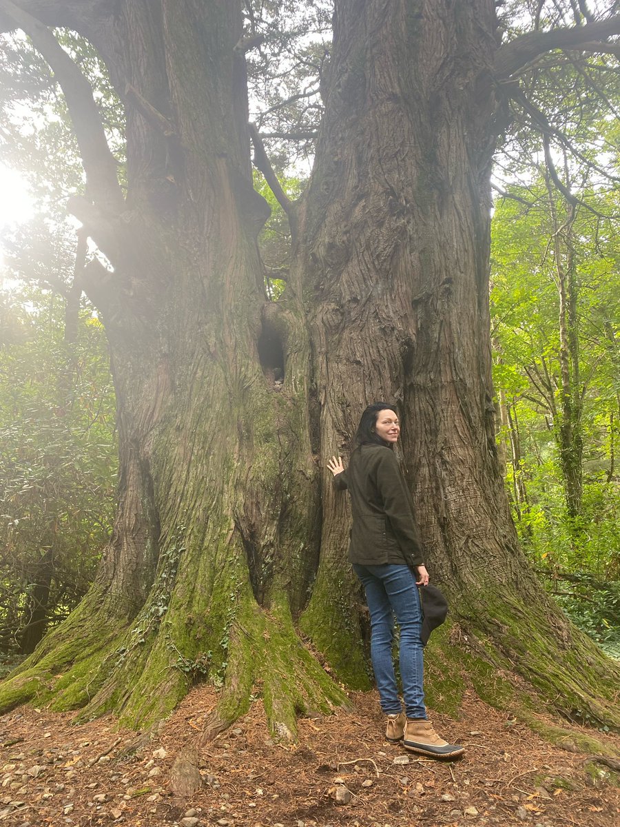 LauraPrepon's tweet photo. Talking to trees in Ireland💚🤍🧡 https://t.co/hYgoMyxZ2g