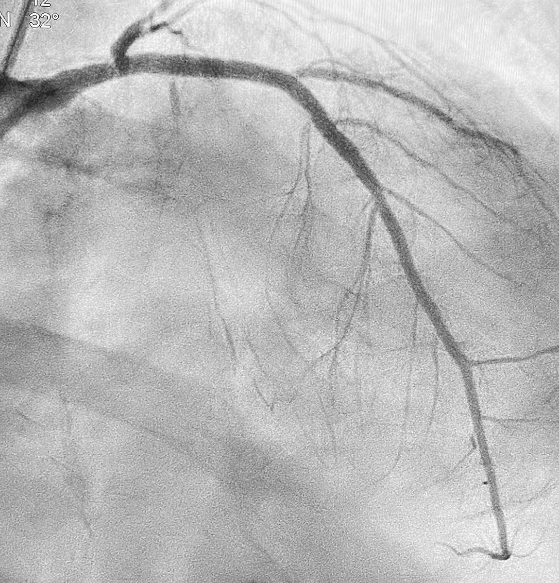 Alex Truesdell tweet media