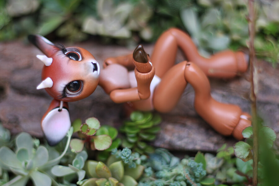 FurryDolls's tweet photo. Timber The Little Deer (Ana vonBorowsky) https://t.co/OH63PFgPCA