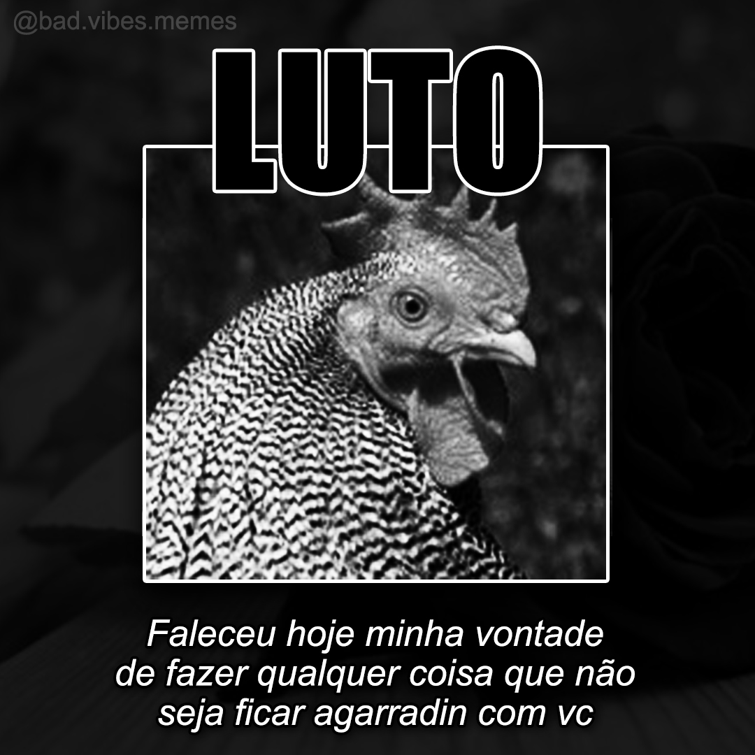 BadVibesMemes's tweet photo. saudades eternas 😭 https://t.co/7lEXgp1isr