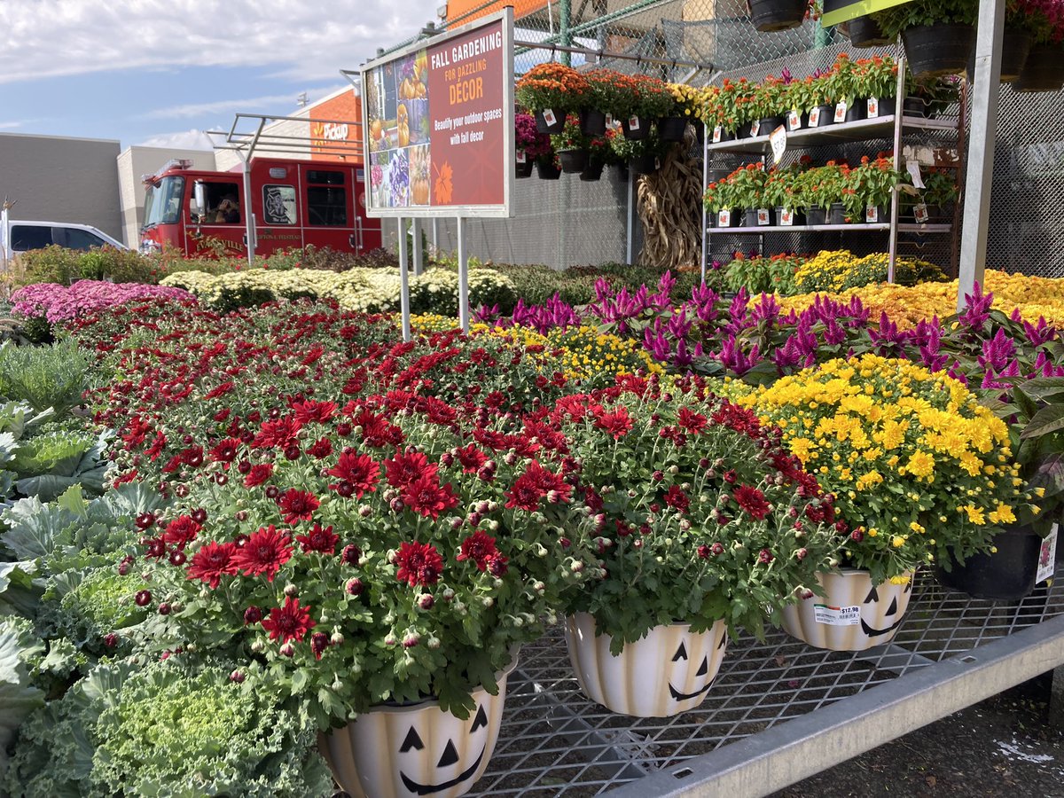 Amanda Fore tweet media