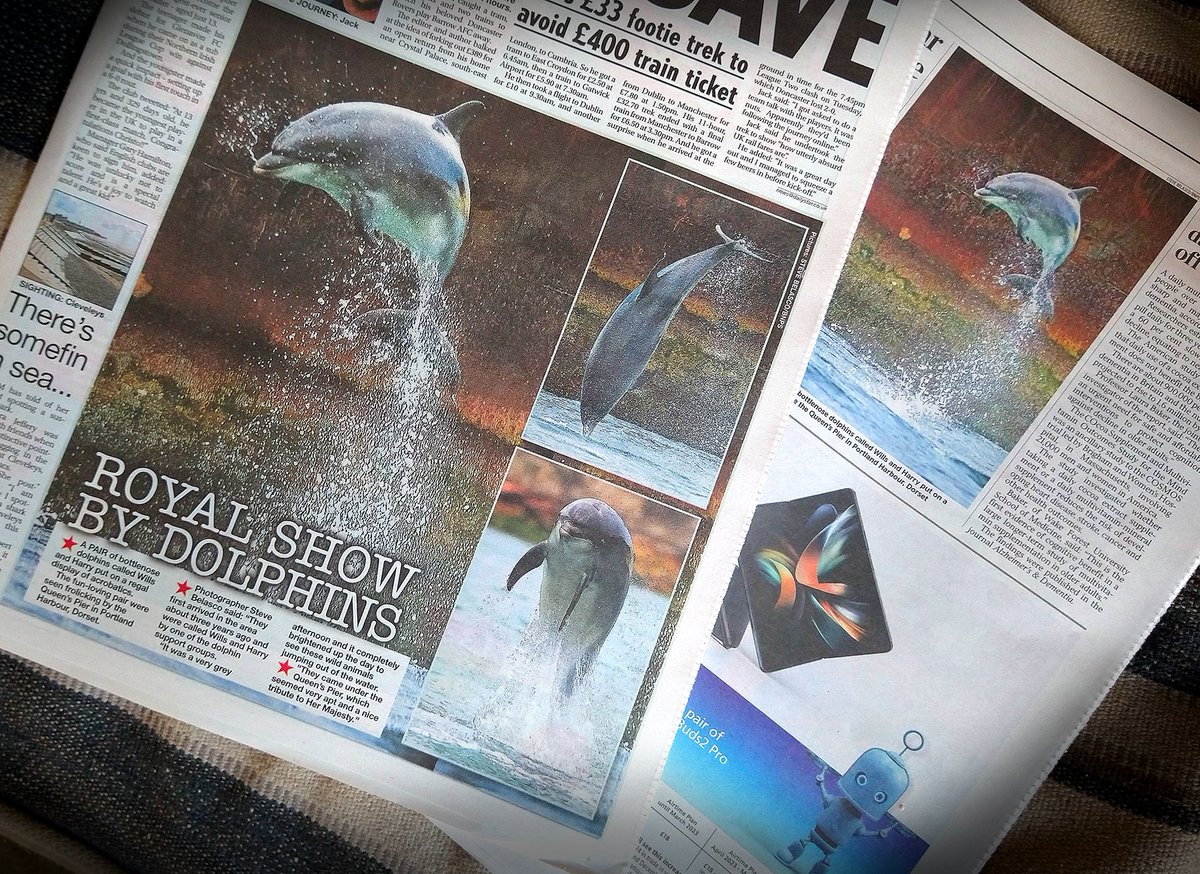 Some press cuttings from my recent dolphin encounters