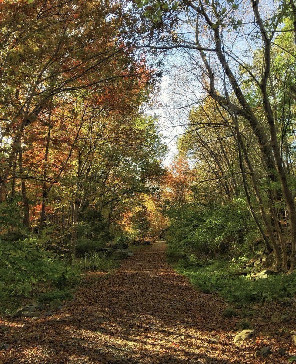 #RavinesBedford #Autumn #NovaScotia #MyPhotography #ColourfulFall