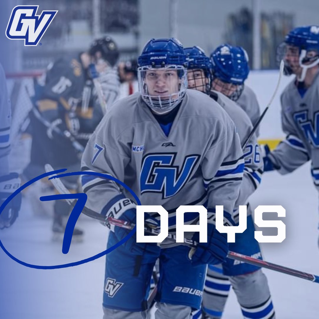 gvsuhockeyd3's tweet photo. 7 days until gameday ft #7 @c_parkhurst13 ⚓️

#AnchorUp https://t.co/e115ugVNFx