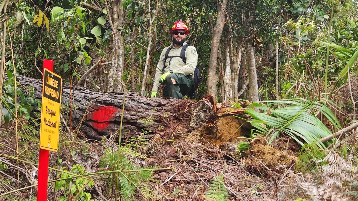 ciaprpr's tweet photo. Desde el Capítulo del Exterior con Sede en Florida tenemos al Agrim. Randolph Stoddard con el proyecto: 𝐄𝐥 𝐘𝐮𝐧𝐪𝐮𝐞 𝐁𝐨𝐮𝐧𝐝𝐚𝐫𝐲 𝐑𝐞-𝐞𝐬𝐭𝐚𝐛𝐥𝐢𝐬𝐡𝐦𝐞𝐧𝐭 𝐏𝐫𝐨𝐣𝐞𝐜𝐭. 1/4
#CIAPR #Agrimensores #Ingenieros https://t.co/nIPIkJNSeB