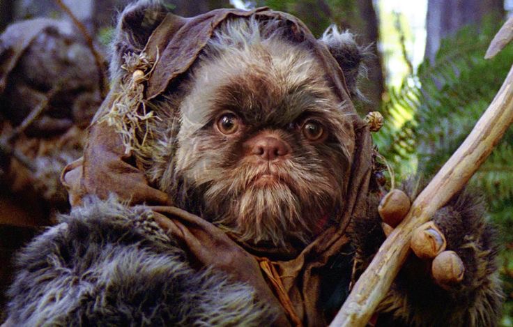 Impolit_Buro's tweet photo. L'eWokisme, qu'est-ce que c'est ?
#Wokisme #Woke #StarWars #ewoke https://t.co/XYUphKvfg5