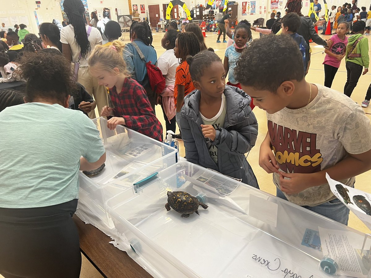 STEMClayZ's tweet photo. We had our first STEM event of the year today. It was an amazing success. Shout out to STEM WARS for bringing the house down at Fairview Elementary. A special shout out to the finalists in our robotics showcase. #stemwars #stemhenry @drhafza https://t.co/oEjEj5lnHK