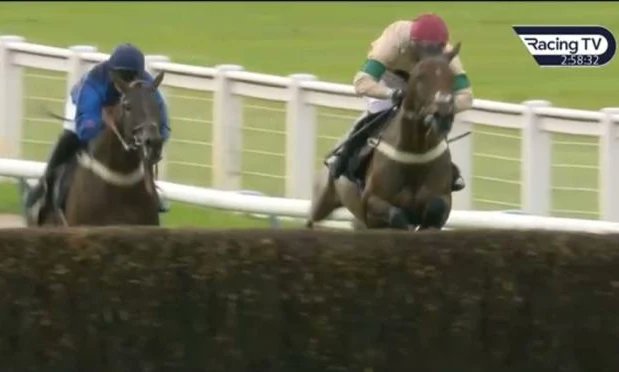 braysdown's tweet photo. Many congratulations to The Morgan Family and @benpauling1 for winning with Twig today! ๐๐ฅ๐๐
@lucamorgan99
@beaumorgan15
@GeorgiaGMx
@ArronMorgan01
#Yardgraduate
#Twig
#Englishpointtopointhorse
#BraysdownStables https://t.co/FnkQECouX9