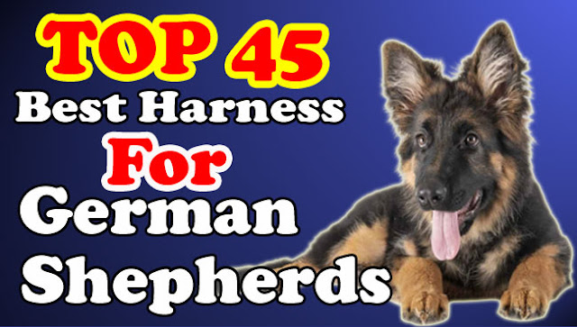 harnessbiner's tweet photo. Best Harness For German Shepherds| No Pull Dog Vest Harness Military Standard
Read More: https://t.co/fwCc5RB2Ae
#petsafeplus #pets #dogs #dogharness #germanshepherd #militarydogharness #nopulldogvestharness https://t.co/61Ti3KEnFf