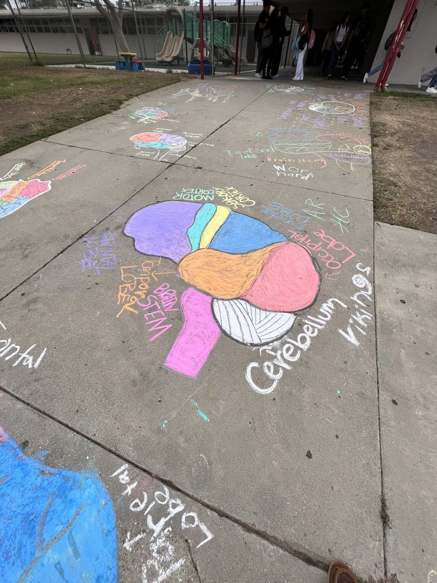 collinsrdc's tweet photo. Great job to the students and their awesome Mentor/Teacher Mrs. Roth.  #hhsvikings #hhssocialsciencedept https://t.co/tF4eRpQDnB