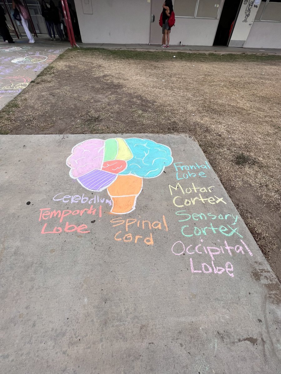 collinsrdc's tweet photo. Great job to the students and their awesome Mentor/Teacher Mrs. Roth.  #hhsvikings #hhssocialsciencedept https://t.co/tF4eRpQDnB