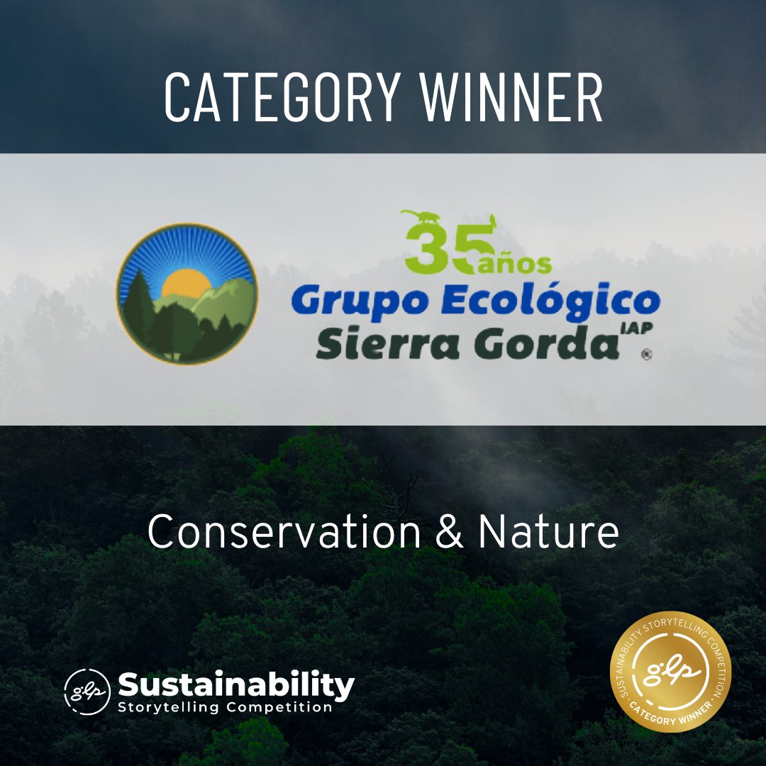 GLP Films tweet media