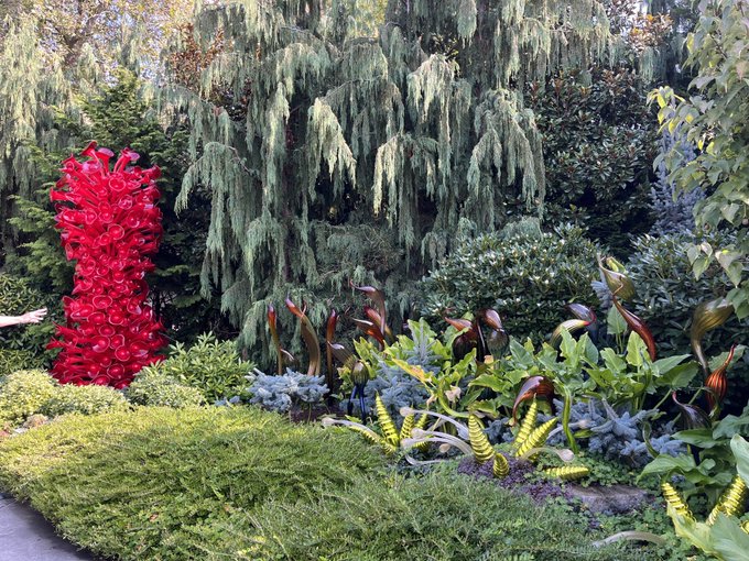 Magical https://t.co/VA5LbpyAtM