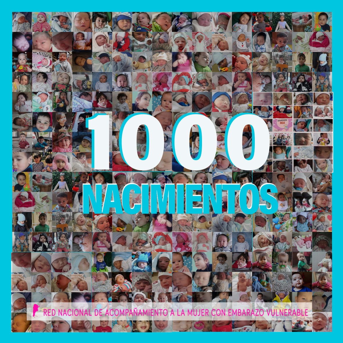 Este mes celebramos los 1000 nacimientos de bebés cuyas mamás han sido acompañadas y cuidadas por las instituciones que conforman la Red!
Cada nacimiento es una muestra de que el acompañamiento a un mamá con embarazo inesperado hace la diferencia entre la vida y la muerte.Sumate!