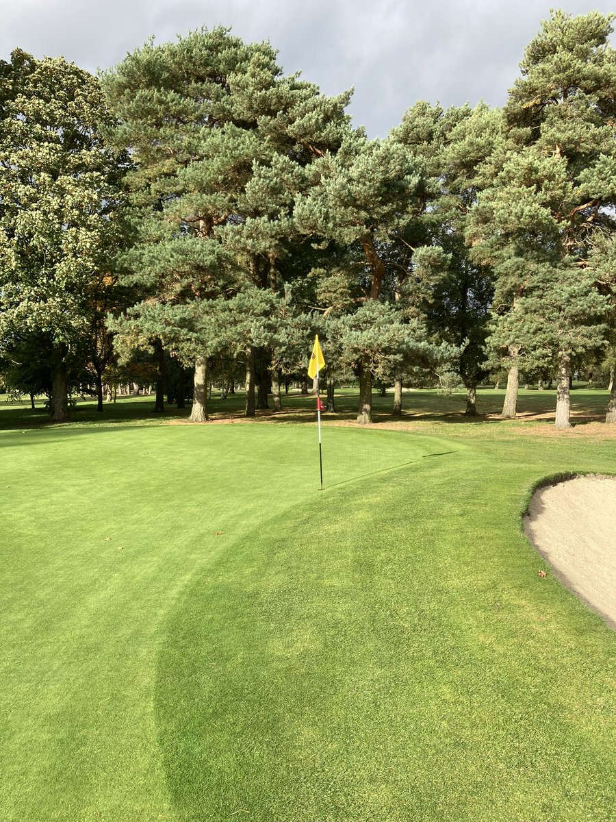 Amateur Golf Bible tweet media