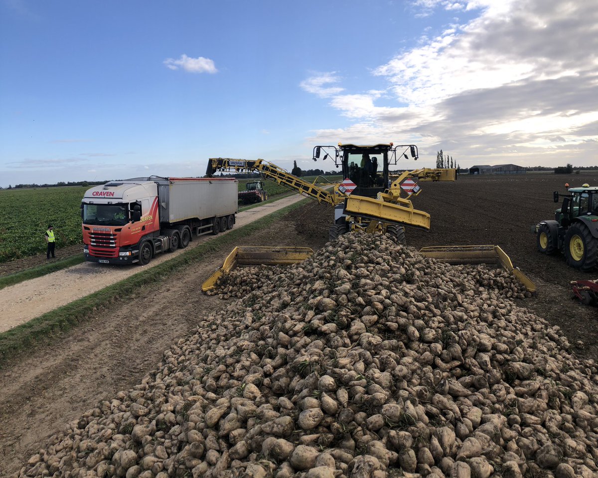 Ed Dowler tweet media