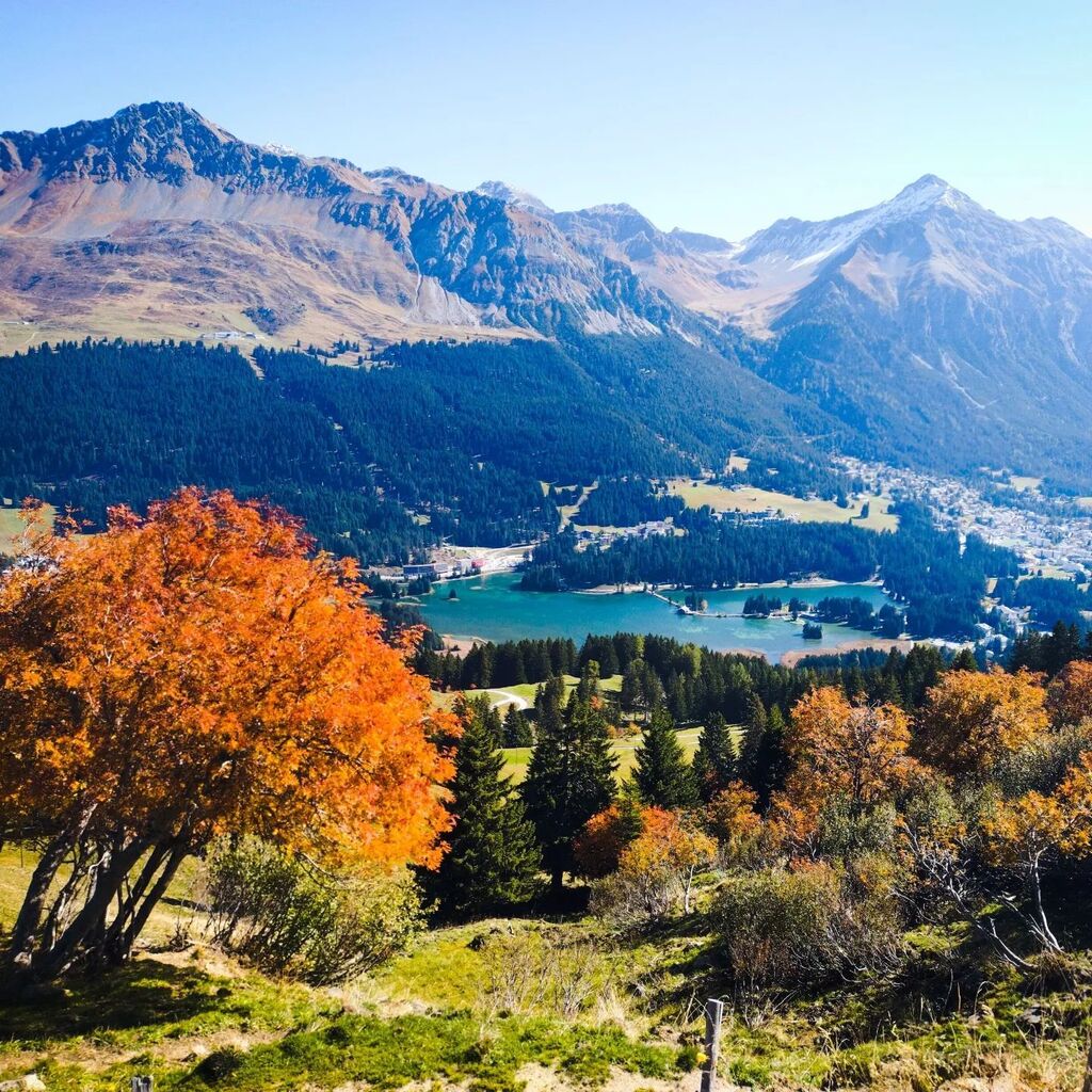 Geometricum's tweet photo. Der Herbst ist in der Lenzerheide angekommen. An der Sonne ist es angenehm warm. Vom Joch zur Alp Fops und zurück über Alp Nova und Alp Lavoz.
#emtb
#graubünden
#emtbswitzerland
#bikelenzerheide #arosalenzerheide #mtbgraubuenden
#lenzerheide
#mtbGr… https://t.co/RTp124ETSn https://t.co/evdSWZVlJh