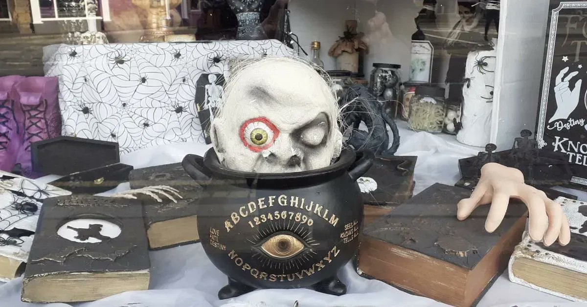 The Stray Ferret tweet media