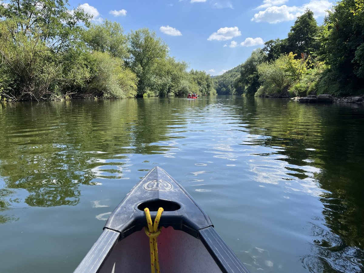 Helen Williams tweet media