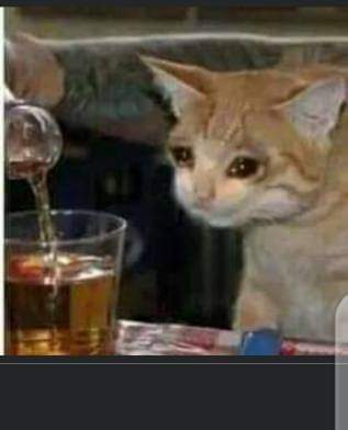 bar man abeg full the cup with hot abeg
Na cold dey catch me I no kill person