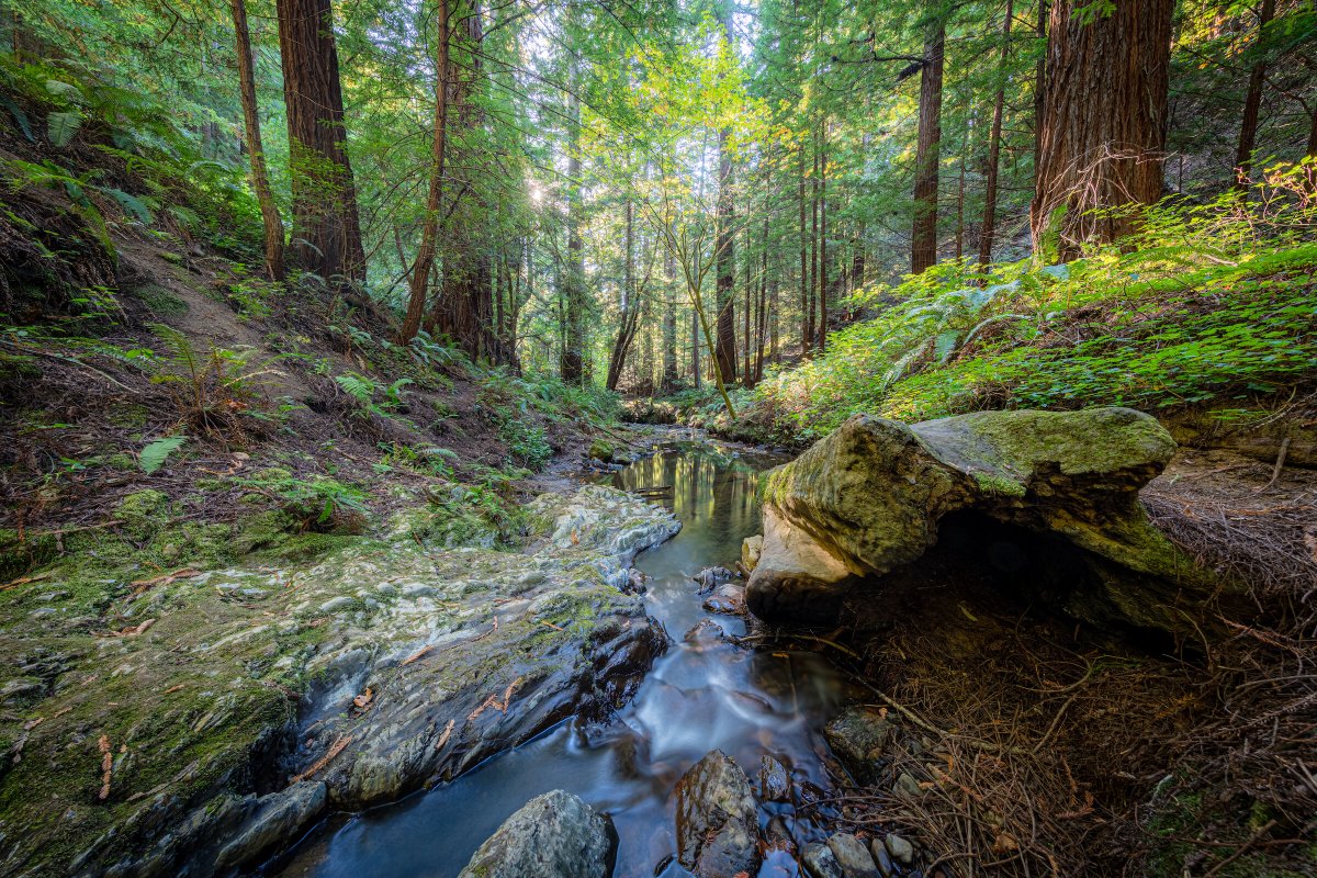 Kevin Henney tweet media