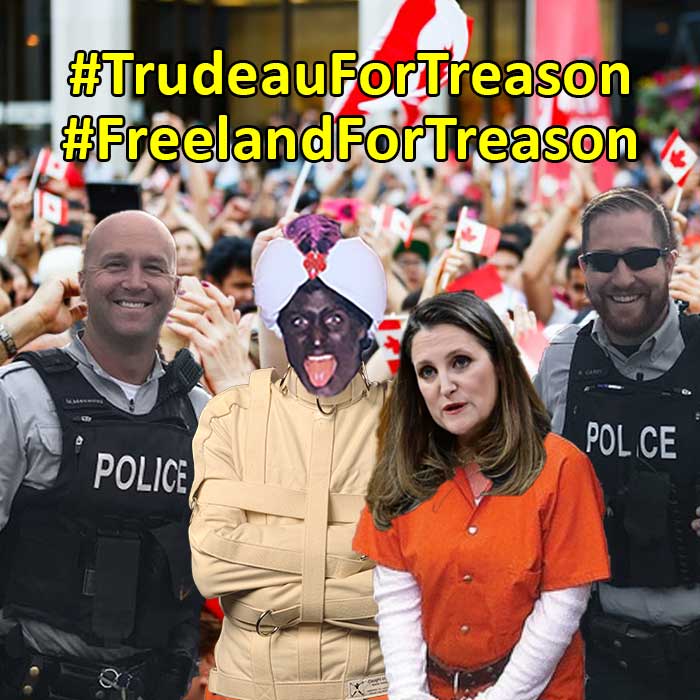ACanadian26's tweet photo. @prettypatriotCA #TrudeauForTreason
#TrudeauTrials
#TrudeauMustGo
#FreelandForFraud
#cdnpoli 
#TrudeauMustGo https://t.co/ElL2EI5ZOS