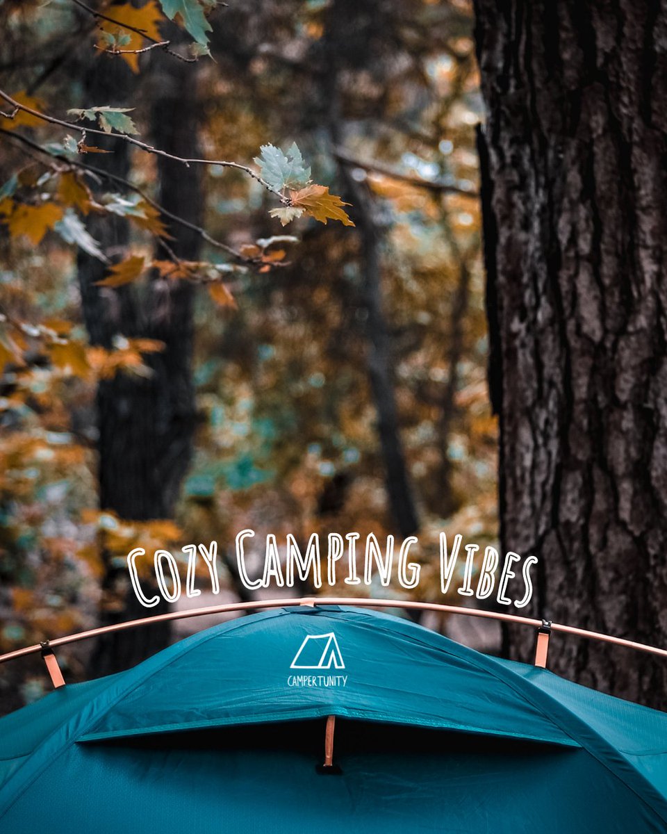 campertunity's tweet image. Fall is here—and it's a time to cozy up in nature. Get away from the city, and get some quality time with your friends and family this weekend!🍂

Visit our website to find a camping spot near you⛺️
#campertunity #fall #cozyvibes