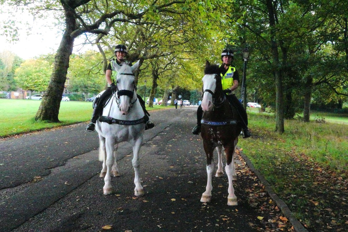 KaptainCosgrove's tweet photo. " The Thin Blue Line...(out &amp; about)..."
@ILoveSeftonPark 
@MerPolMounted 
@merseymountedpc 
#Silver #Beau https://t.co/knf7zjRx16
