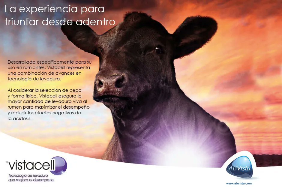 hoardsenespanol's tweet photo. AUMENTA LA PRODUCCIÓN DE LECHE HASTA 1.81 KG/DIA CON VISTA PRE-T Para más información visita https://t.co/KG0CPOdBJH y no olvides mencionar que lo viste en la página de Hoard´s Dairyman en español

#abvista #revistalechera #hoardsenespanol #industrialechera #ganaderia #vacas https://t.co/1reKsVQDds