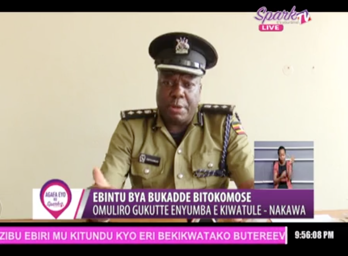 SPARK TV tweet media