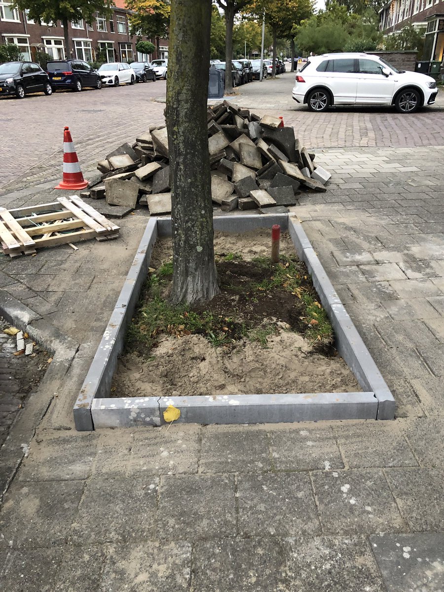 Dit moet toch beter kunnen? Inmiddels zijn de vakken gevuld met aarde, tot de rand 😭 Hoe worden bestaande boomspiegels in andere gemeenten vergroot? Hebben jullie alternatief voor opstaande banden <a href="/bomenconsulent/">Hans Kaljee</a>  @OpSteenbreek <a href="/NandaSluijsmans/">Nanda Sluijsmans</a>?! Vertel het aan <a href="/gemeentehaarlem/">Gemeente Haarlem</a>