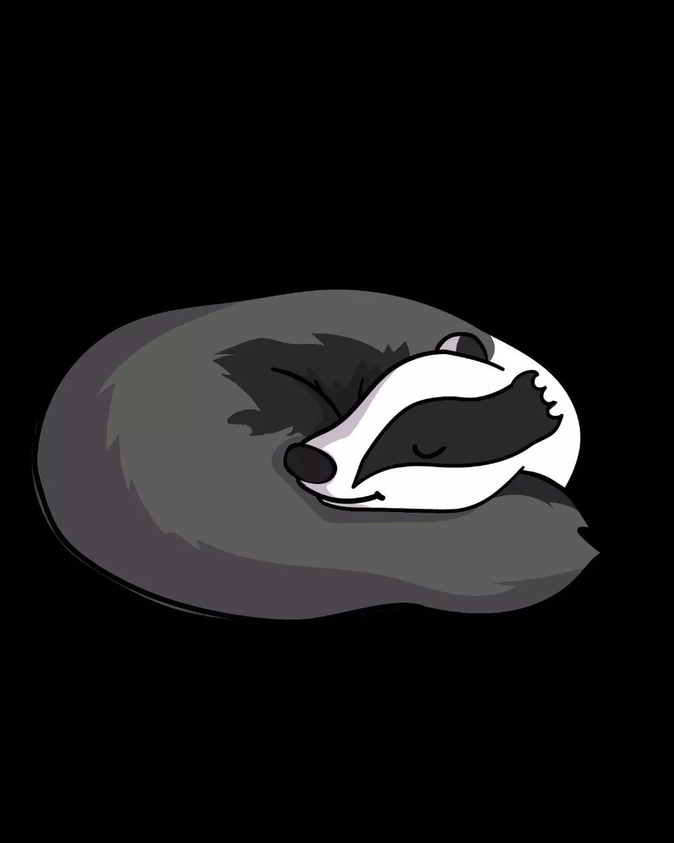 Happy National Badger Day
It's been so lovely to see so many posts about badgers today

#NationalBadgerDay