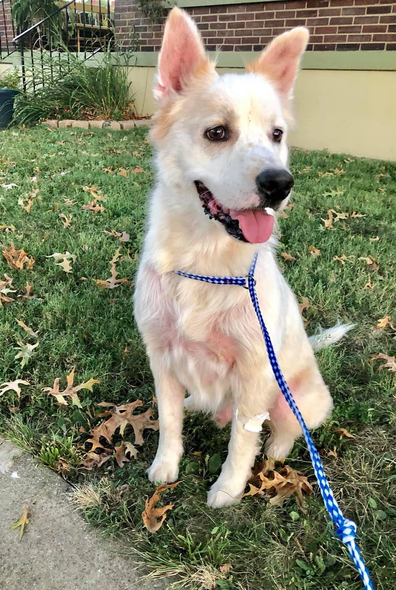 Kelly Ward tweet media