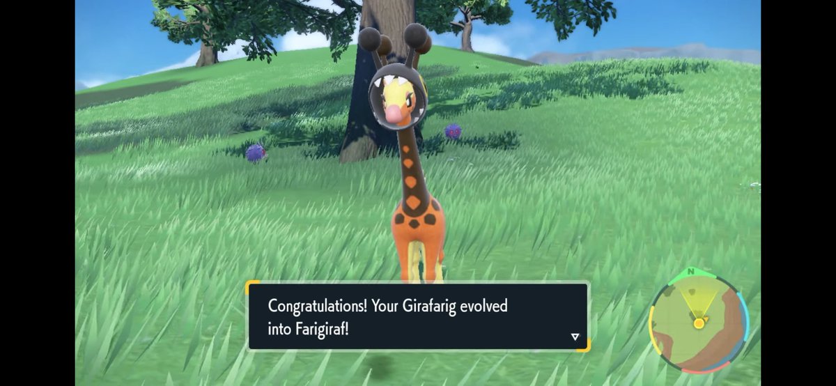 sebberball tweet media