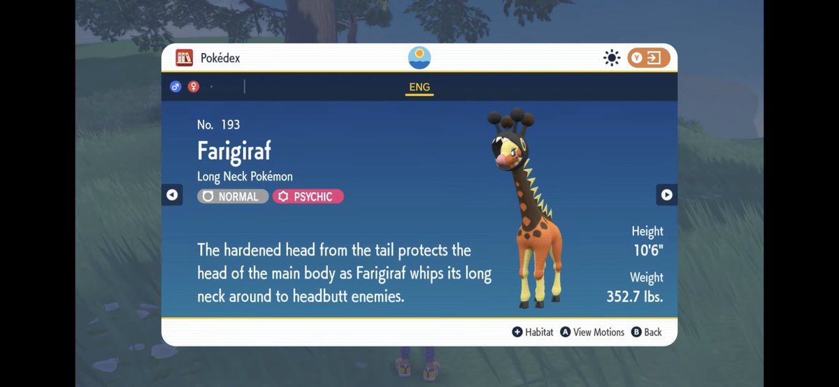 sebberball tweet media