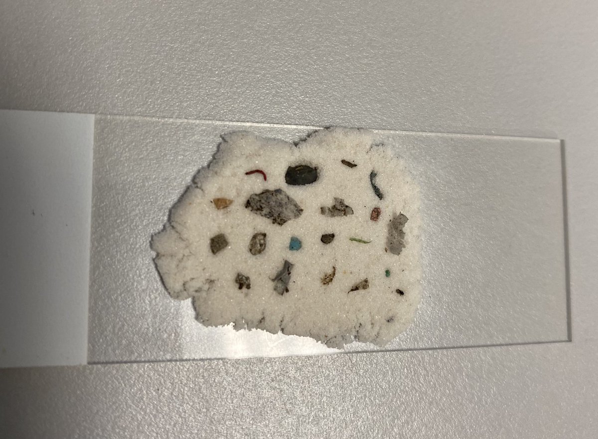 Ecosystems Lab tweet media