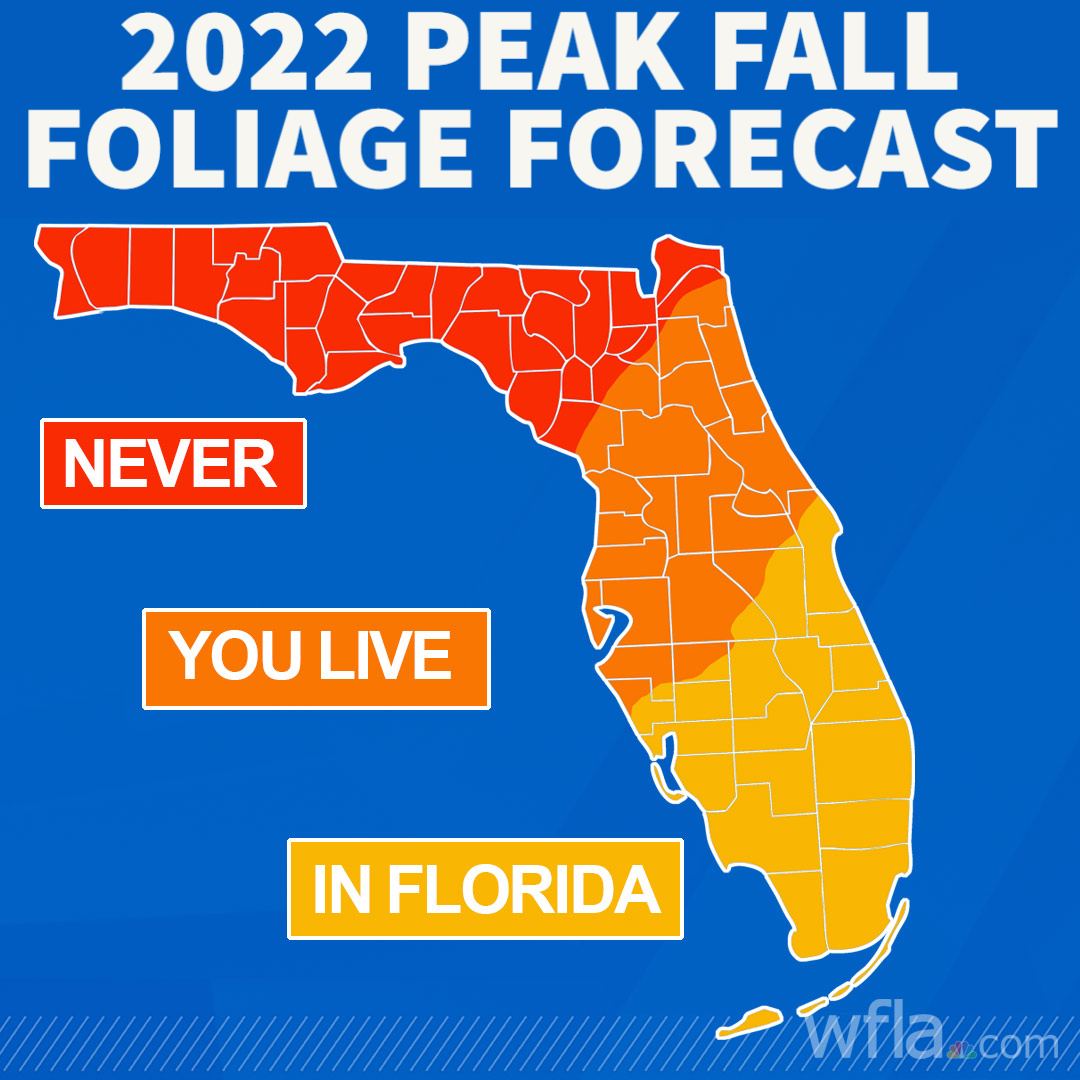 WFLA NEWS on Twitter "FALL FOLIAGE FORECAST 🍂 We love seeing the