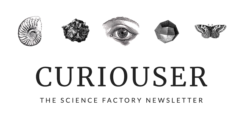 Curious Minds tweet media